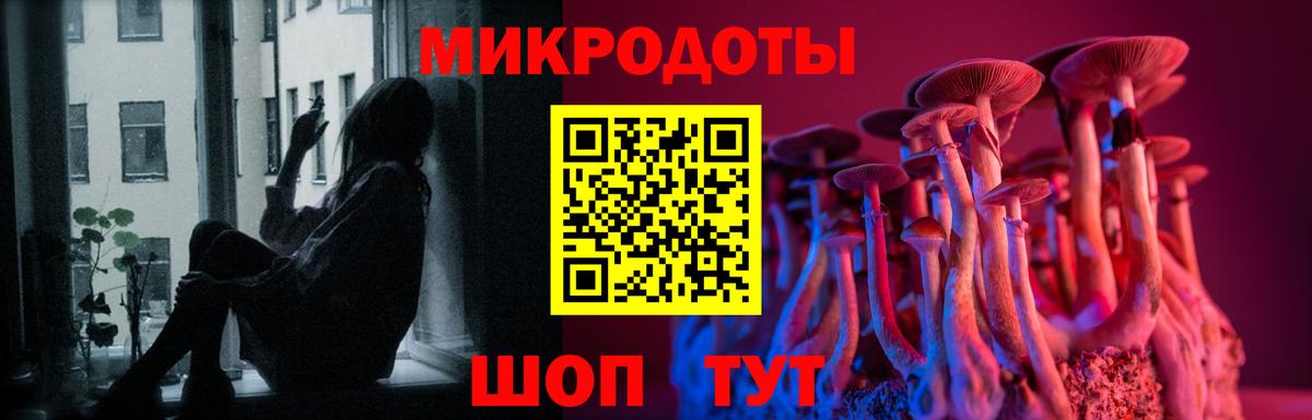 Галлюциногенные грибы Magic Shrooms  что такое   Елабуга  Вход с VPN 